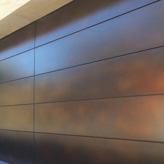 Modern|Axolotl - Smooth